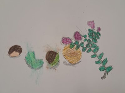 Zajęcia plastyczne 30.09.23